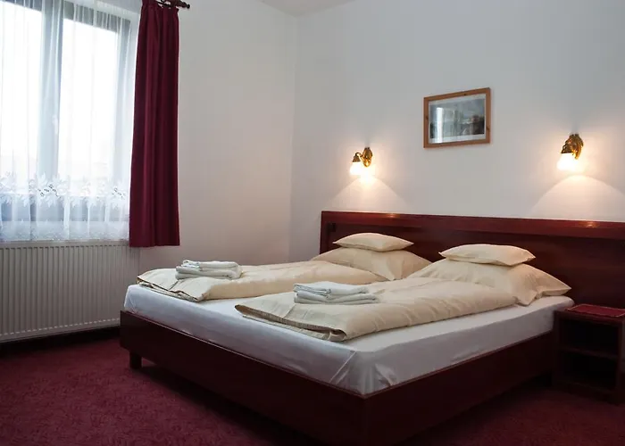 Adler Hotel
